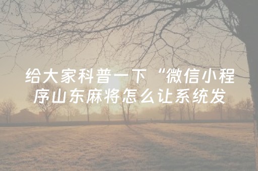 给大家科普一下“微信小程序山东麻将怎么让系统发好牌”（专用神器下载)