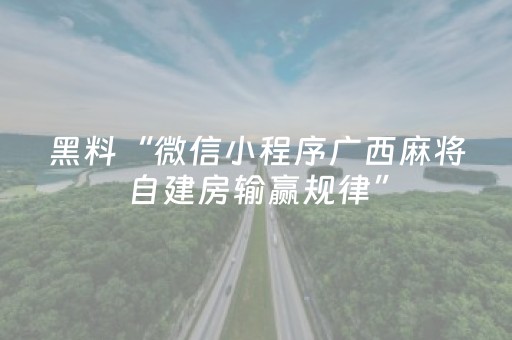 黑料“微信小程序广西麻将自建房输赢规律”（辅助器通用版)