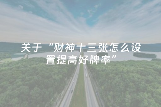 关于“财神十三张怎么设置提高好牌率”（辅助器插件)