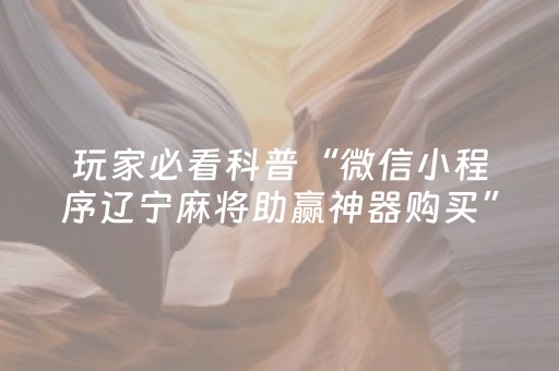玩家必看科普“微信小程序辽宁麻将助赢神器购买”（专用神器)