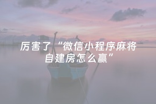 厉害了“微信小程序麻将自建房怎么赢”（免费辅助)