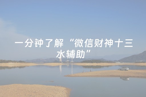 一分钟了解“微信财神十三水辅助”（助攻神器)