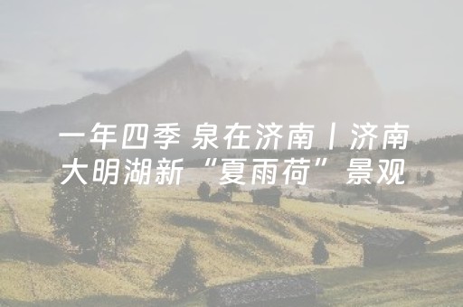 黑料“微信小程序家乡麻将助赢神器”（怎么调胜率)