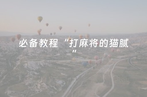 必备教程“打麻将的猫腻”（专用神器下载)