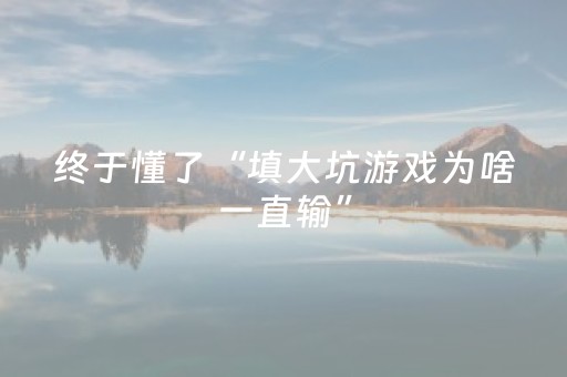 终于懂了“填大坑游戏为啥一直输”（万能开挂器)