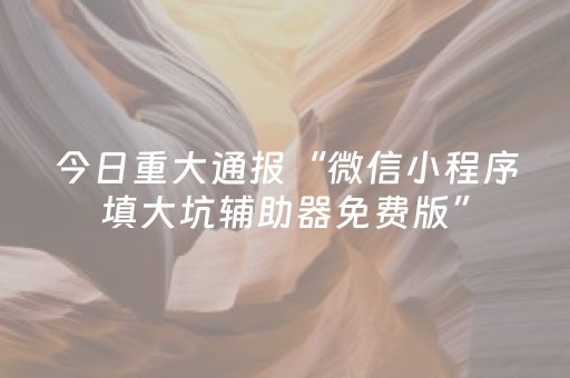 今日重大通报“微信小程序填大坑辅助器免费版”（开挂辅助器脚本)