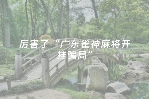 厉害了“广东雀神麻将开挂骗局”（必赢神器辅助器)