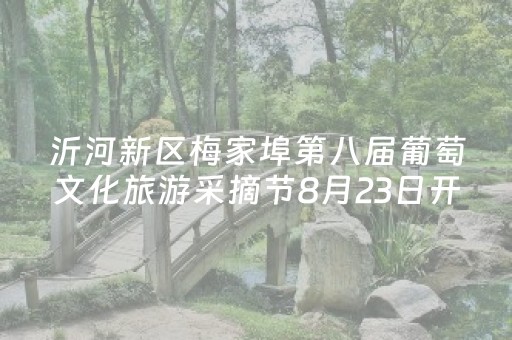必备攻略“微信小程序广东麻将辅助器插件”（AI辅助胡牌规则)