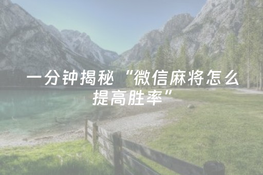 一分钟揭秘“微信麻将怎么提高胜率”（技巧和打好牌方法)