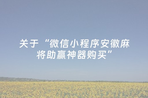 关于“微信小程序安徽麻将助赢神器购买”（软件出售)