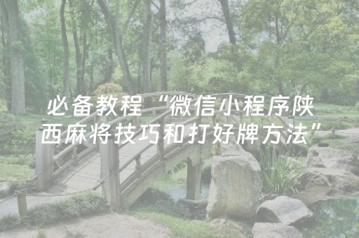 必备教程“微信小程序陕西麻将技巧和打好牌方法”（控牌神器)