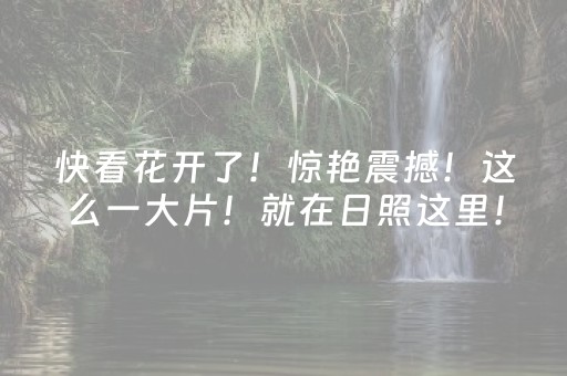 玩家必备“微信小程序海南麻将辅助器插件”（如何让系统发好牌)
