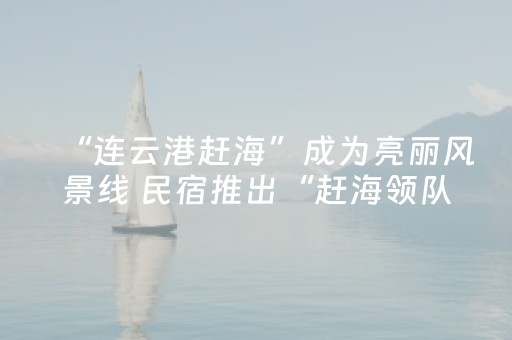 “连云港赶海”成为亮丽风景线 民宿推出“赶海领队”特色服务
