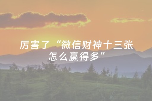 厉害了“微信财神十三张怎么赢得多”（攻略插件)