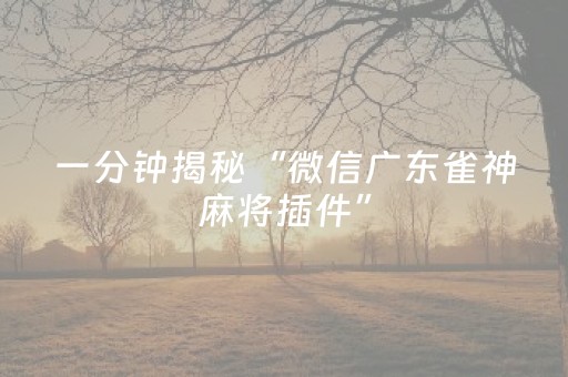 一分钟揭秘“微信广东雀神麻将插件”（开挂辅助插件)