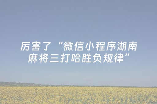 厉害了“微信小程序湖南麻将三打哈胜负规律”（控牌神器)