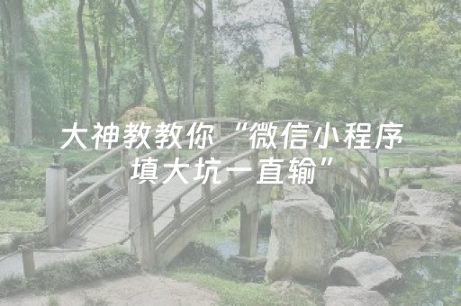 大神教教你“微信小程序填大坑一直输”（怎么增加胜率)