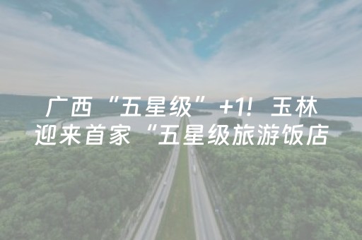 安装教程“手机微信小程序麻将怎么让系统发好牌”（挂件神器)
