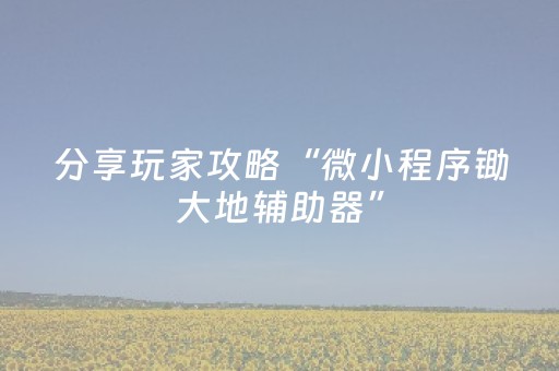 分享玩家攻略“微小程序锄大地辅助器”（软挂神器)