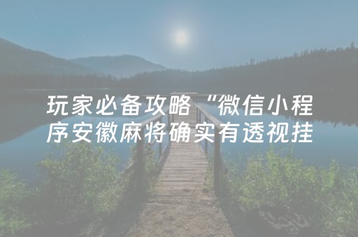 玩家必备攻略“微信小程序安徽麻将确实有透视挂”（免费专用神器)
