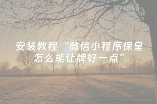 安装教程“微信小程序保皇怎么能让牌好一点”（挂件神器)