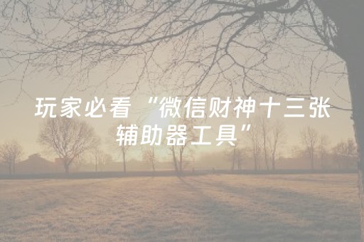 玩家必看“微信财神十三张辅助器工具”（开挂辅助脚本)
