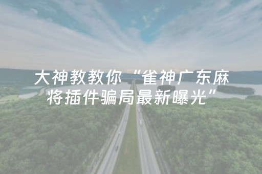 大神教教你“雀神广东麻将插件骗局最新曝光”（怎么能调好牌)