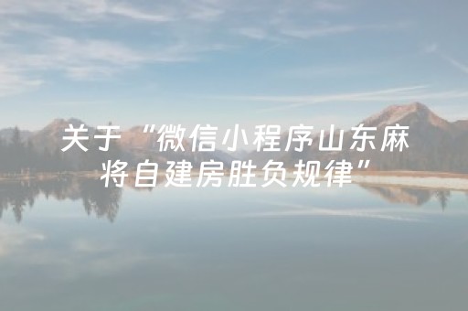 关于“微信小程序山东麻将自建房胜负规律”（万能开挂器)