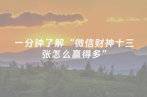 一分钟了解“微信财神十三张怎么赢得多”（插件开挂免费AI)