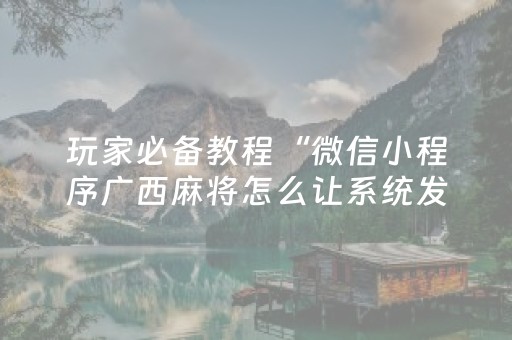 玩家必备教程“微信小程序广西麻将怎么让系统发好牌”（控牌器)