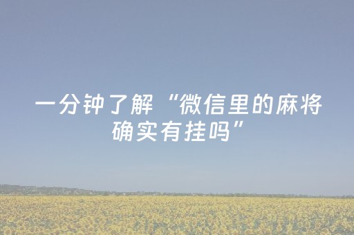 一分钟了解“微信里的麻将确实有挂吗”（必赢神器)