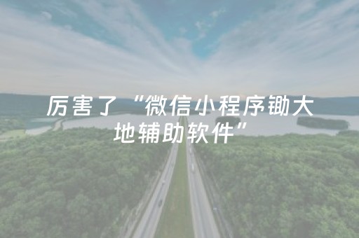 厉害了“微信小程序锄大地辅助软件”（怎么设置能有好牌)
