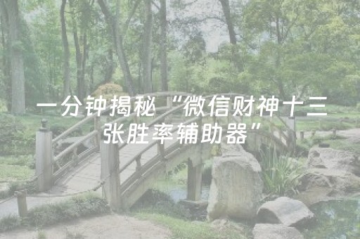 一分钟揭秘“微信财神十三张胜率辅助器”（如何提高胜率)