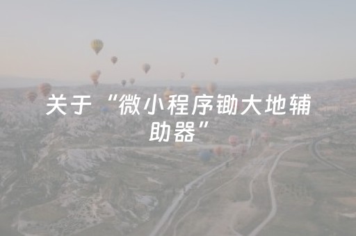 关于“微小程序锄大地辅助器”（辅助软件)