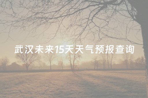 武汉未来15天天气预报查询（武汉未来15天天气预报查询最新）