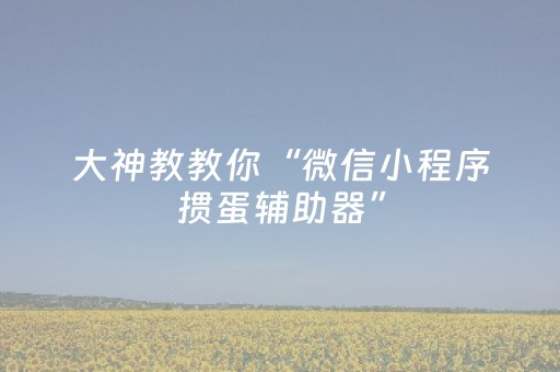 大神教教你“微信小程序掼蛋辅助器”（免费辅助)