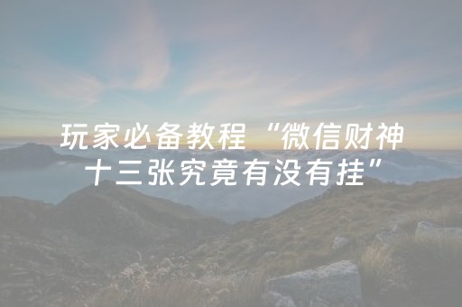 玩家必备教程“微信财神十三张究竟有没有挂”（AI辅助胡牌规则)