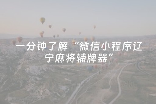 一分钟了解“微信小程序辽宁麻将辅牌器”（助攻神器)