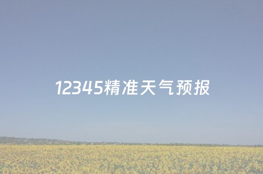12345精准天气预报（精准 天气）