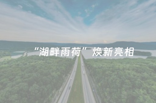 安装程序教程“微信小程序填大坑辅助器免费版”（好友房怎么才能赢)