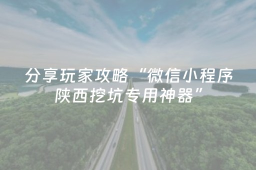 分享玩家攻略“微信小程序陕西挖坑专用神器”（辅牌器插件购买)