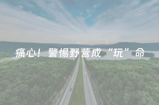 2分钟秒懂“财神十三张助赢神器”（通用挂软件多少钱)