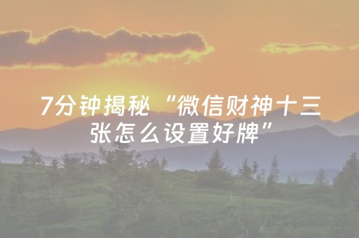 7分钟揭秘“微信财神十三张怎么设置好牌”（辅助器下载)