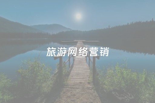 旅游网络营销（旅游网络营销的特点有）