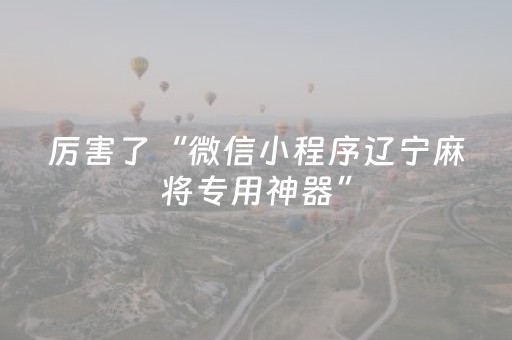 厉害了“微信小程序辽宁麻将专用神器”（外辅工具)