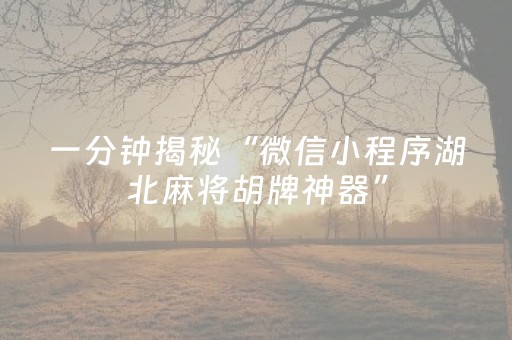 一分钟揭秘“微信小程序湖北麻将胡牌神器”（辅牌器插件购买)