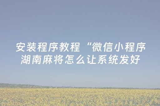 安装程序教程“微信小程序湖南麻将怎么让系统发好牌”（万能开挂器)