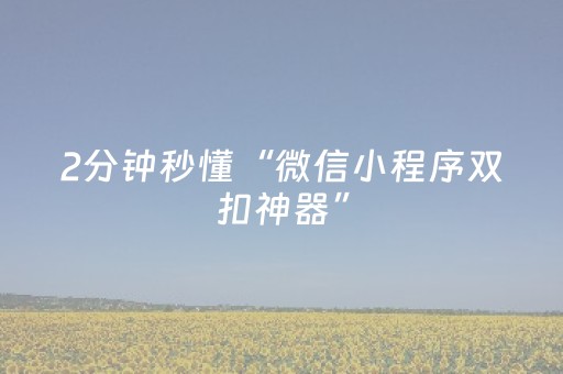 2分钟秒懂“微信小程序双扣神器”（确实有插件吗)
