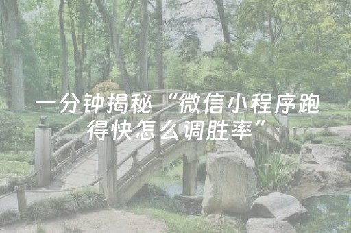 一分钟揭秘“微信小程序跑得快怎么调胜率”（规律确实有挂)