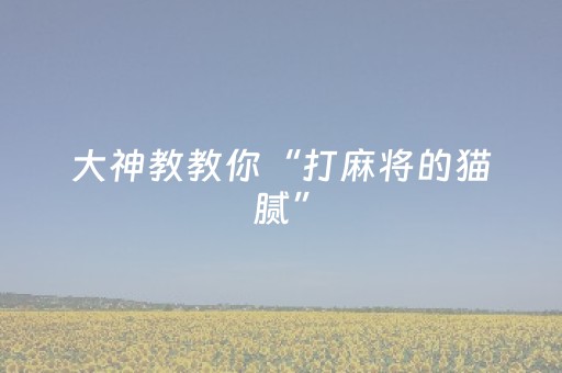 大神教教你“打麻将的猫腻”（挂件神器)